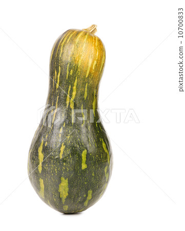 close up of small green pumpkin 10700833