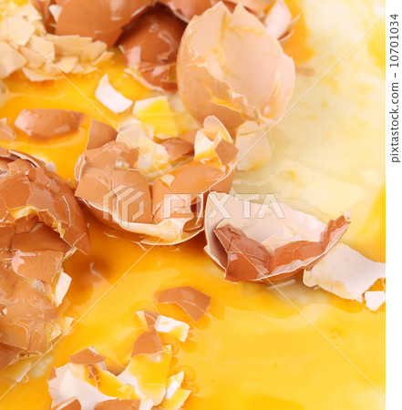 Broken Egg Shells 10701034