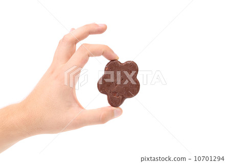 Hand holds chocolate meringues 10701294