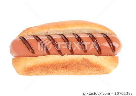 Close up of grilled hot dog. 10701352