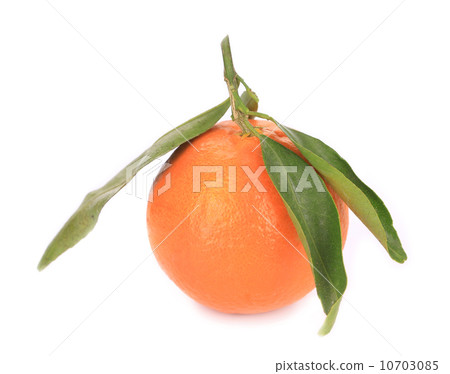 Ripe orange with leaves. 10703085