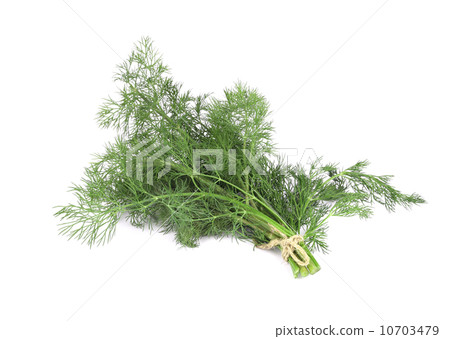 Bunch of dill. Bunch of dill. 10703479