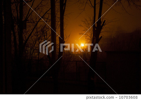 Autumn forest with fog and sunshine 10703608