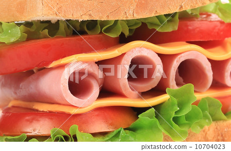 Fresh toast sandwich. Close up. Fresh toast sandwich. Close up. 10704023