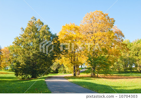 Autumn landscape Autumn landscape 10704303