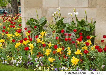 Well-groomed spring garden 10704436