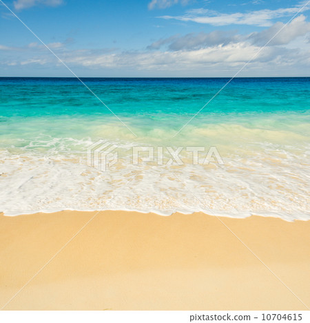 tropical beach 10704615