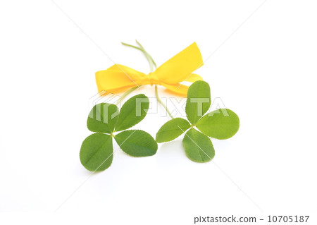 Yotsuba's Clover 10705187