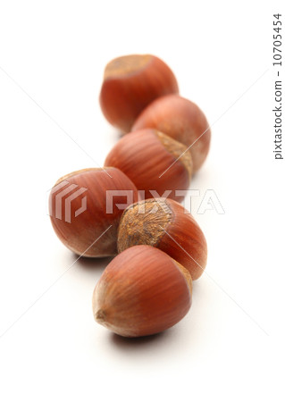 Fresh brown hazelnut 10705454