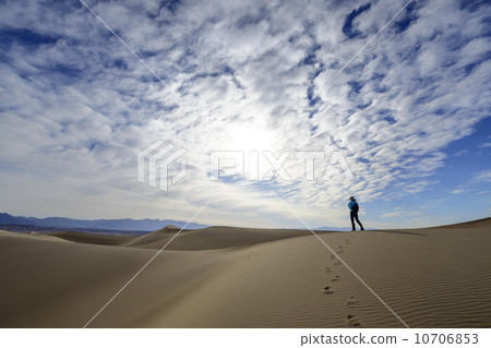 Dunes in Death Valley 10706853