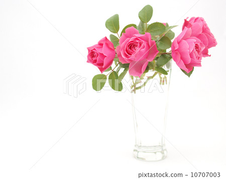 Roses living in a glass Roses living in a glass 10707003