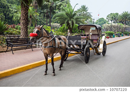 Carriage in Intramuros 10707220