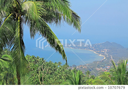 Beauty bay 10707679