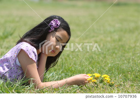 Cute dandelion Cute dandelion 10707936