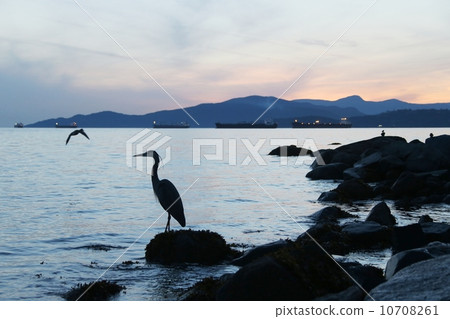 Sunset and sunset Sunset and sunset 10708261