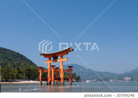 嚴島神社Otorii 嚴島神社Otorii 10709246
