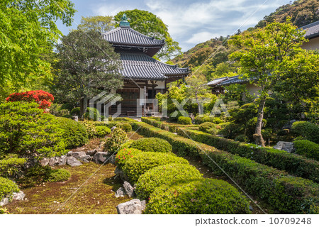 安禪寺正殿 10709248