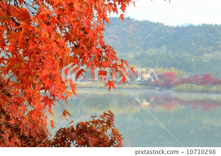 秋葉Hirosawa池塘 秋葉Hirosawa池塘 10710298