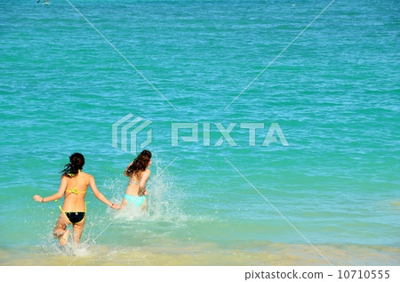 Holidays in Hawaii 10710555