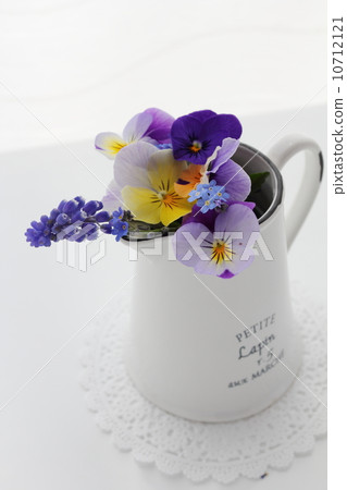 中提琴安排花 中提琴安排花 10712121