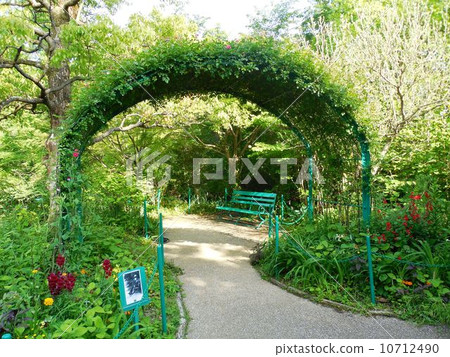 莫奈的花園 10712490