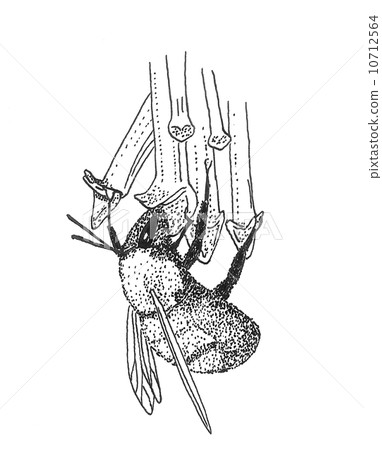 stock illustration bumblebee