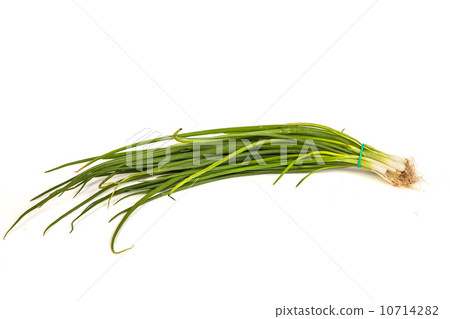 Fresh scallions isolated on white Fresh scallions isolated on white 10714282