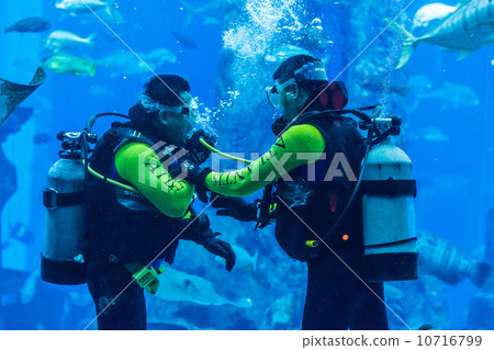Huge aquarium in Dubai. Diver feeding fishes. Huge aquarium in Dubai. Diver feeding fishes. 10716799