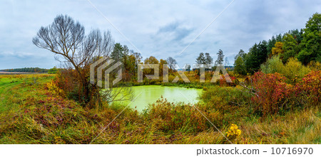 Forest lake in fall. Panorama 10716970