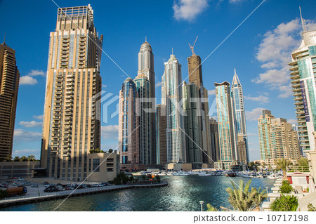 Dubai Marina cityscape, UAE 10717198