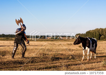 Medieval knight Medieval knight 10717359