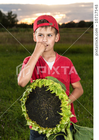 Young happy boy hold sunflower in a garden Young happy boy hold sunflower in a garden 10717548