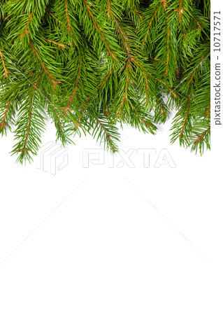 Christmas background. Eve framework 10717571