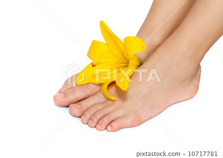 Beautiful woman legs with flower , isolated on white Beautiful woman legs with flower , isolated on white 10717781