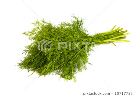 Fresh branches of green dill isolated Fresh branches of green dill isolated 10717785