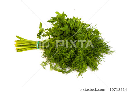 Fresh branches of green dill and Parsley tied isolated 10718314