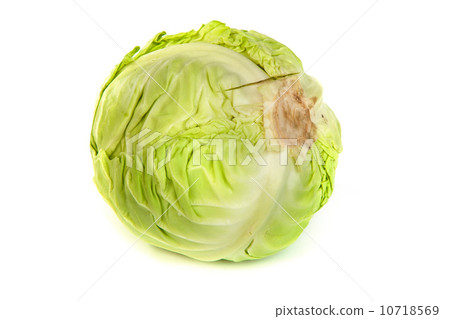 Green cabbage isolated on white 10718569