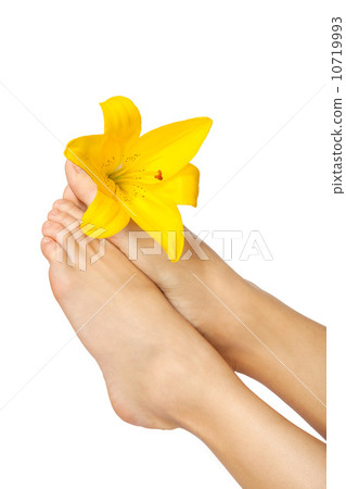 Beautiful woman legs with flower , isolated on white 10719993