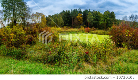 Forest lake in fall. Panorama Forest lake in fall. Panorama 10720103