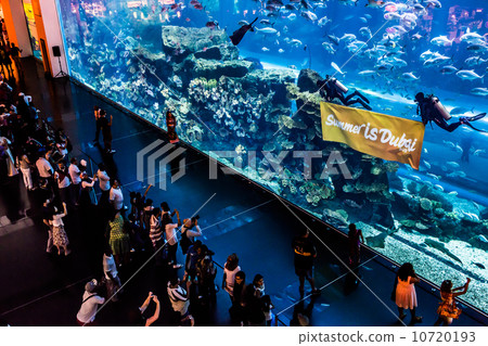 Largest aquarium of the world in Dubai Mall Largest aquarium of the world in Dubai Mall 10720193