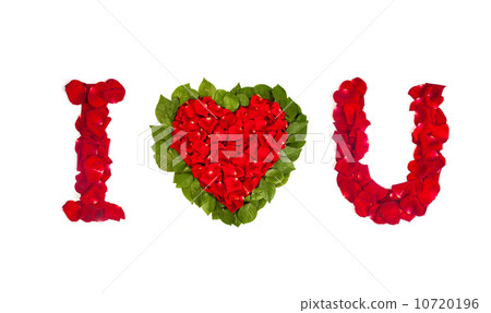 Love of rose petals isolated on white Love of rose petals isolated on white 10720196