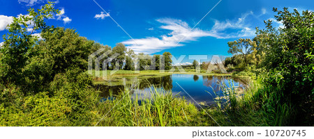 Panorama of summer morning lake Panorama of summer morning lake 10720745