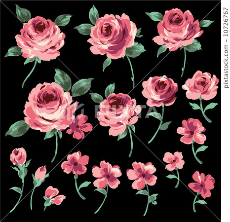 Rose illustration 10726767
