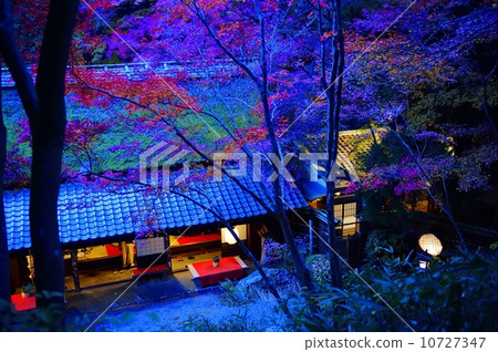 Toriimoto Toriimoto 10727347