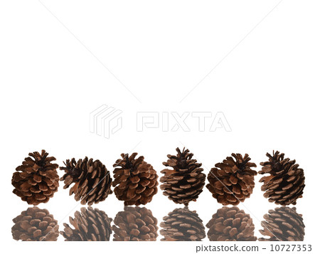 Matsutake的框架 10727353