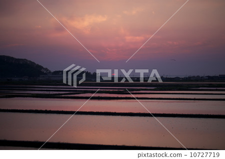 Sunset of Ajigasawa and paddy fields 10727719