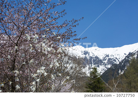 North Alps North Alps 10727750