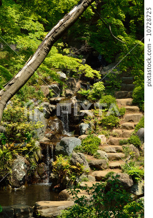Tatena Yato Garden · Waterfall and stone steps 10728725