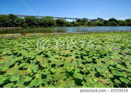 Chiba Park Chiba Park 10729329