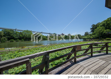 千葉縣千葉市千葉公園 10729332